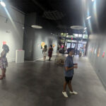 Belinda Tucker, Painter, Physical Exam Exhibition at Alexander/Heath Contemporary Roanoke VA