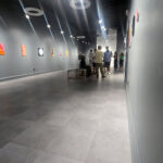 Belinda Tucker, Painter, Physical Exam Exhibition at Alexander/Heath Contemporary Roanoke VA